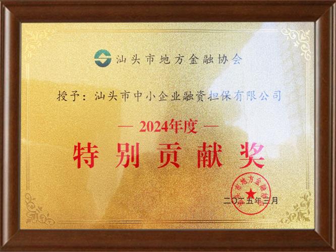 2024年度汕頭市地方金融協(xié)會特別貢獻(xiàn)獎